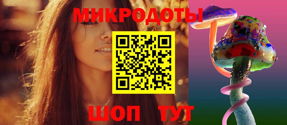 Рославль  Галлюциногенные грибы Psilocybine cubensis  Вход с VPN 